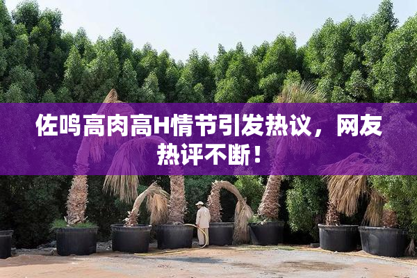 佐鸣高肉高H情节引发热议，网友热评不断！