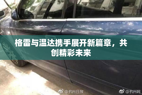 格雷与温达携手展开新篇章，共创精彩未来