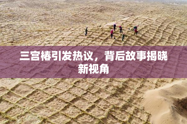 三宫椿引发热议，背后故事揭晓新视角