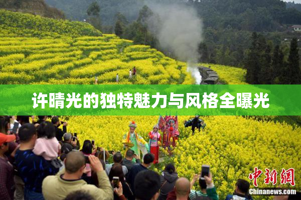 许晴光的独特魅力与风格全曝光