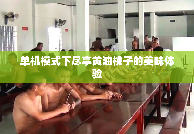 单机模式下尽享黄油桃子的美味体验