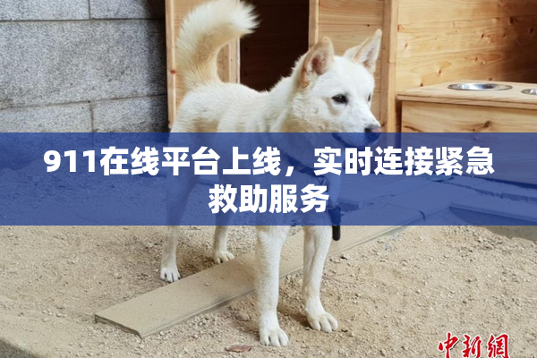 911在线平台上线，实时连接紧急救助服务