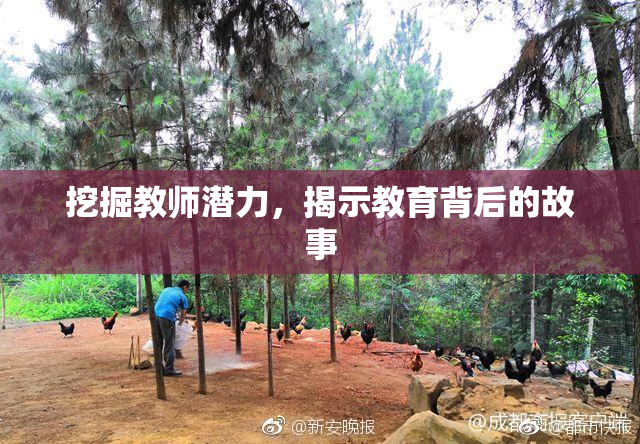 挖掘教师潜力，揭示教育背后的故事