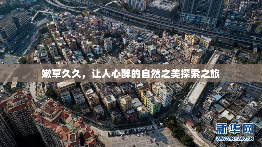 嫩草久久，让人心醉的自然之美探索之旅