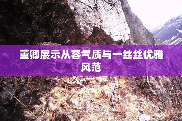 董卿展示从容气质与一丝丝优雅风范