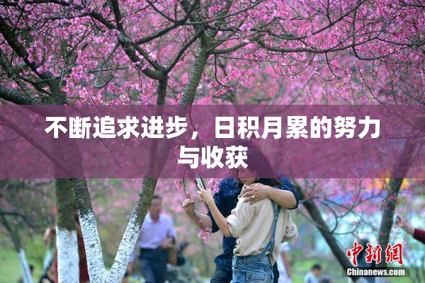 不断追求进步，日积月累的努力与收获