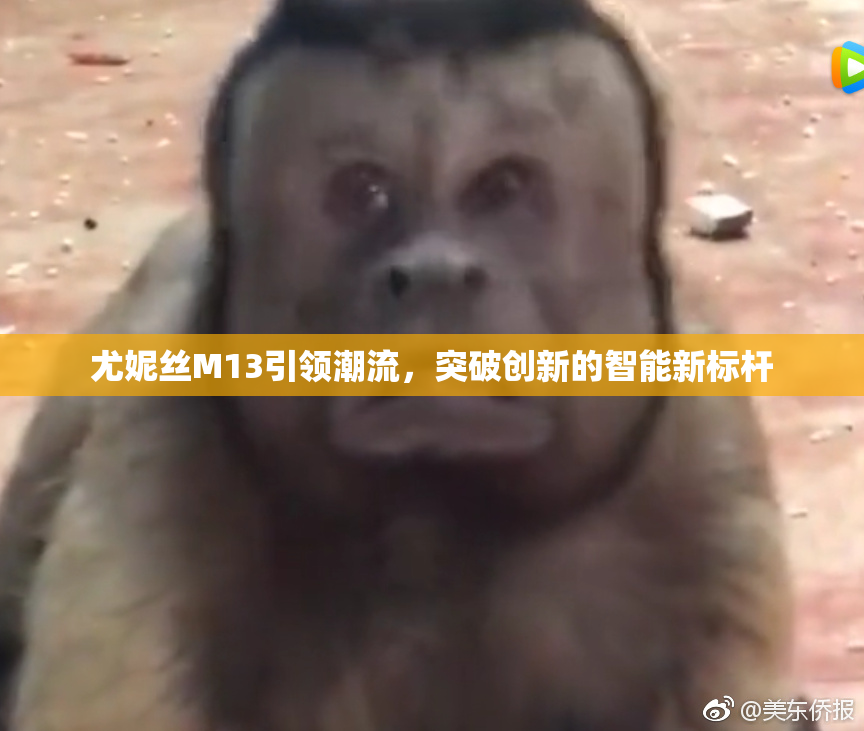 尤妮丝M13引领潮流，突破创新的智能新标杆
