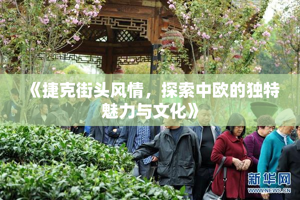 《捷克街头风情，探索中欧的独特魅力与文化》