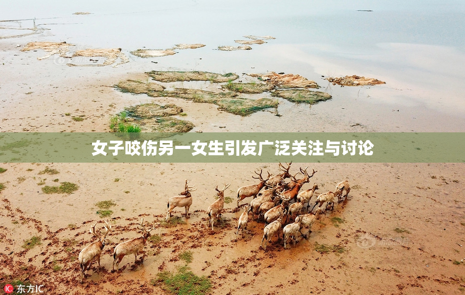 女子咬伤另一女生引发广泛关注与讨论