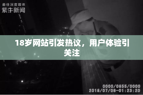 18岁网站引发热议，用户体验引关注