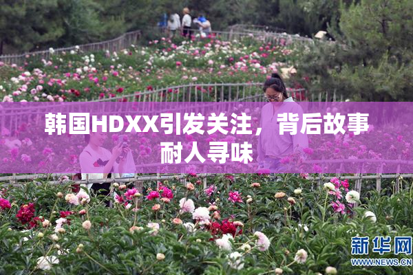 韩国HDXX引发关注，背后故事耐人寻味