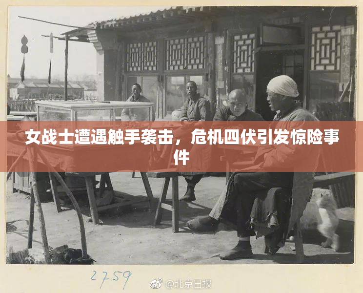 女战士遭遇触手袭击，危机四伏引发惊险事件