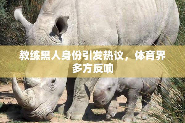 教练黑人身份引发热议，体育界多方反响