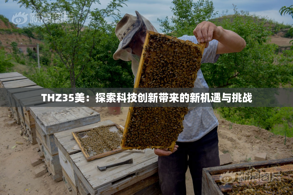 THZ35美：探索科技创新带来的新机遇与挑战