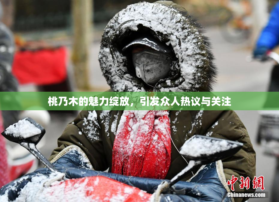桃乃木的魅力绽放，引发众人热议与关注