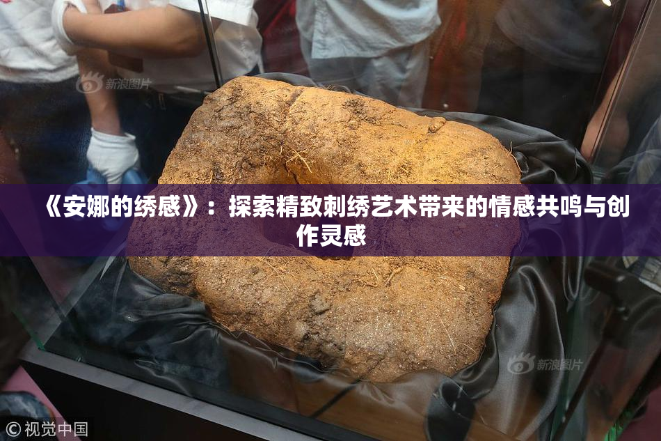 《安娜的绣感》：探索精致刺绣艺术带来的情感共鸣与创作灵感
