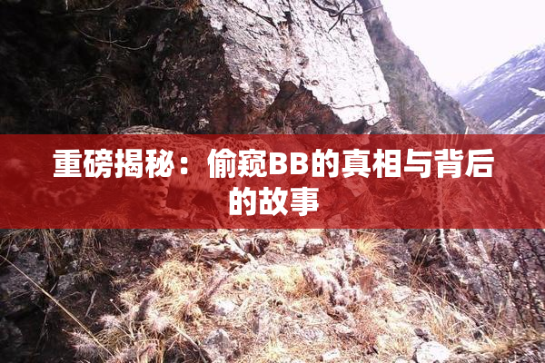 重磅揭秘：偷窥BB的真相与背后的故事