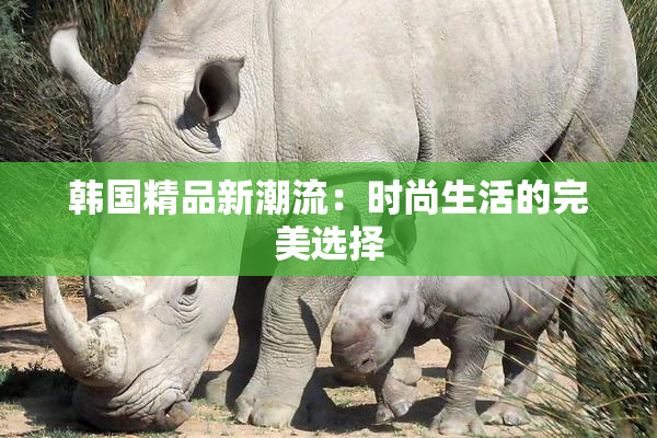 韩国精品新潮流：时尚生活的完美选择