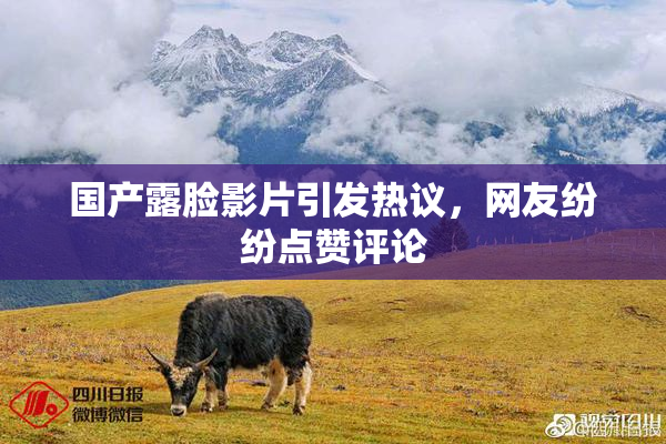 国产露脸影片引发热议，网友纷纷点赞评论