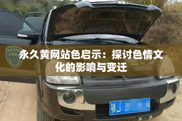 永久黄网站色启示：探讨色情文化的影响与变迁