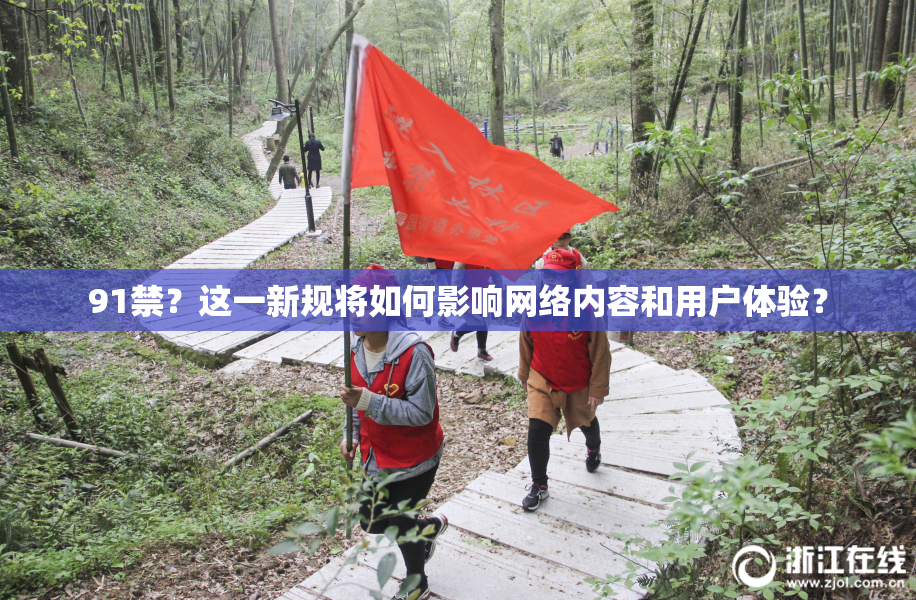 91禁？这一新规将如何影响网络内容和用户体验？