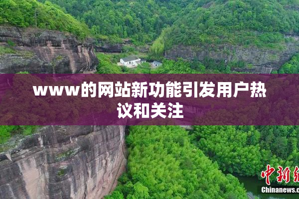 www的网站新功能引发用户热议和关注