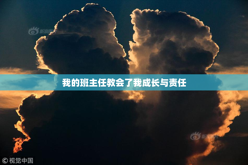 我的班主任教会了我成长与责任