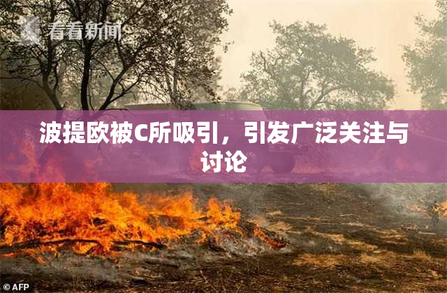 波提欧被C所吸引，引发广泛关注与讨论