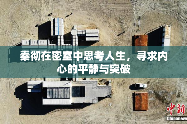 秦彻在密室中思考人生，寻求内心的平静与突破