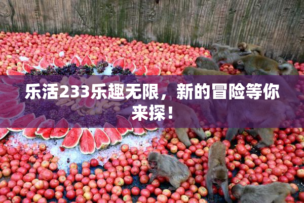乐活233乐趣无限，新的冒险等你来探！