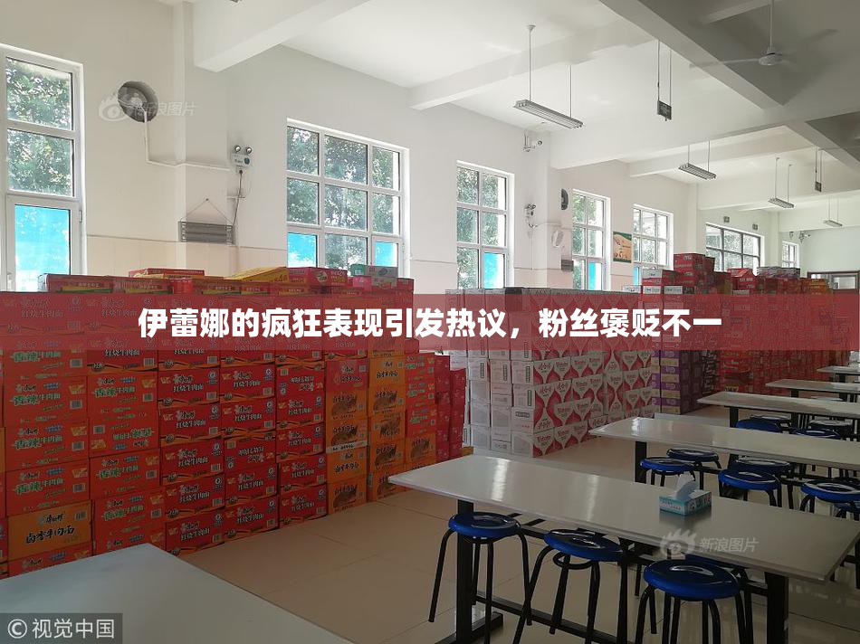 伊蕾娜的疯狂表现引发热议，粉丝褒贬不一
