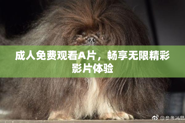 成人免费观看A片，畅享无限精彩影片体验