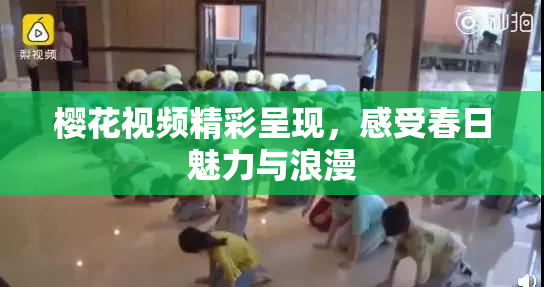 樱花视频精彩呈现，感受春日魅力与浪漫
