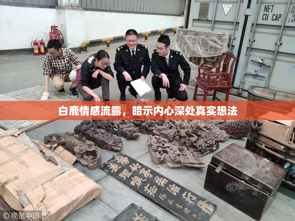 白鹿情感流露，暗示内心深处真实想法
