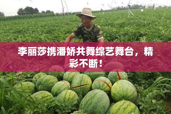 李丽莎携潘娇共舞综艺舞台，精彩不断！