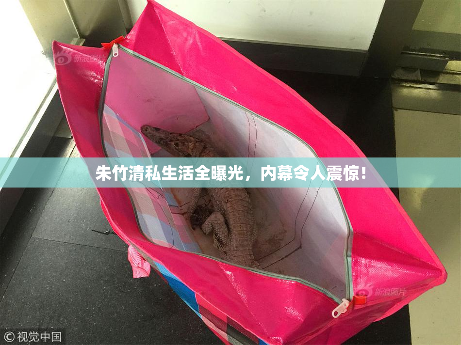 朱竹清私生活全曝光，内幕令人震惊！