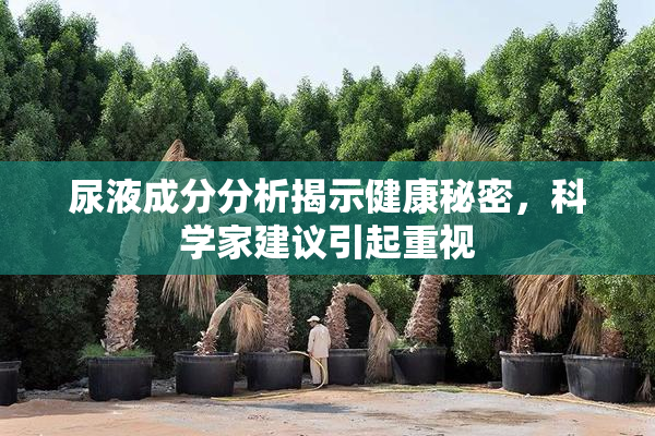 尿液成分分析揭示健康秘密，科学家建议引起重视
