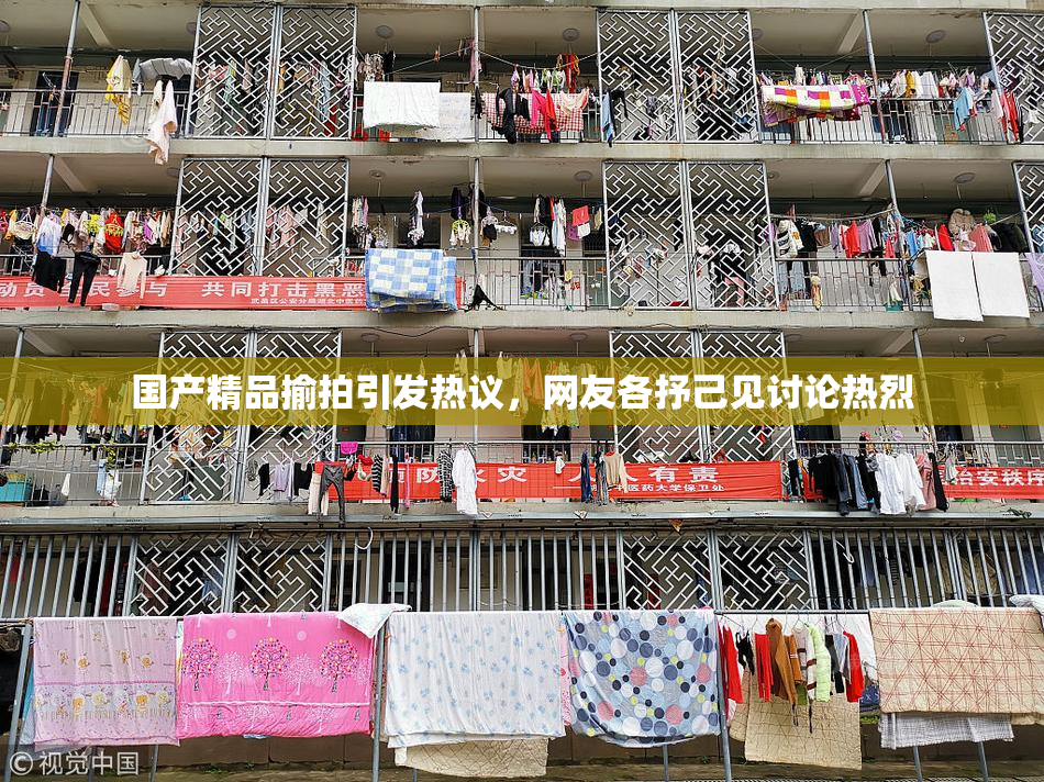国产精品揄拍引发热议，网友各抒己见讨论热烈