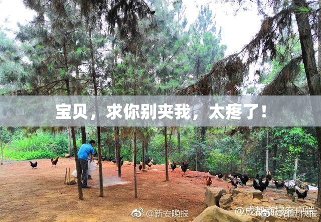 宝贝，求你别夹我，太疼了！