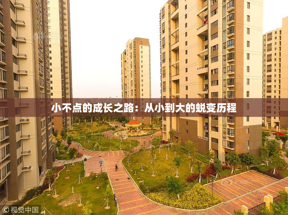 小不点的成长之路：从小到大的蜕变历程