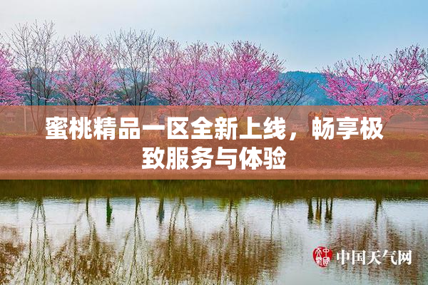 蜜桃精品一区全新上线，畅享极致服务与体验