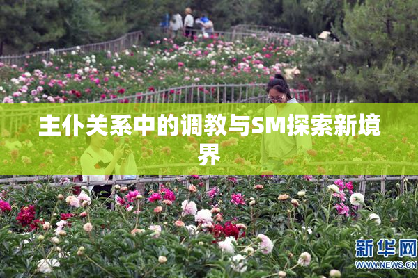 主仆关系中的调教与SM探索新境界