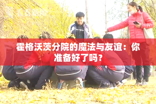 霍格沃茨分院的魔法与友谊：你准备好了吗？