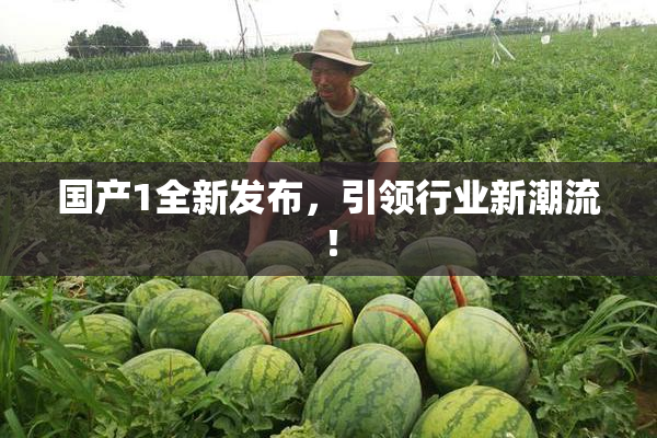 国产1全新发布，引领行业新潮流！