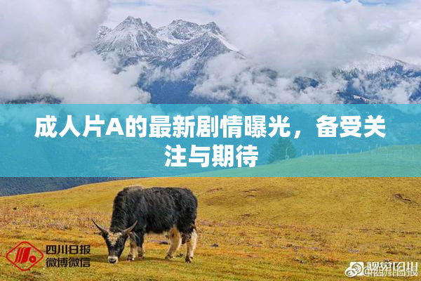 成人片A的最新剧情曝光，备受关注与期待