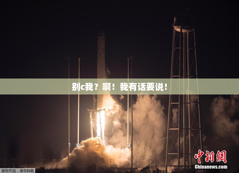 别c我？啊！我有话要说！