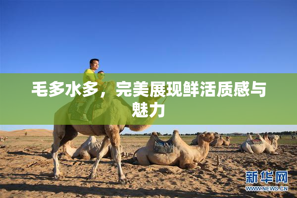 毛多水多，完美展现鲜活质感与魅力