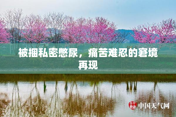 被捆私密憋尿，痛苦难忍的窘境再现
