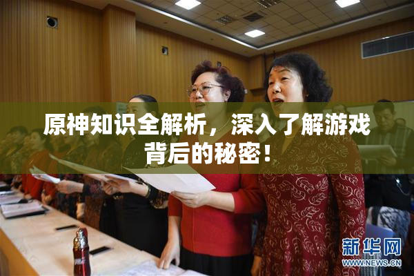 原神知识全解析，深入了解游戏背后的秘密！