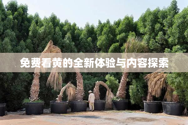 免费看黄的全新体验与内容探索